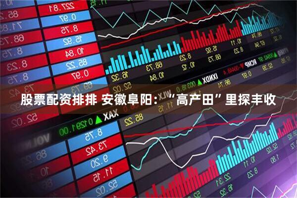 股票配资排排 安徽阜阳：“高产田”里探丰收